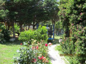 Chemin d'accès au gîte "LE PLEIN SUD" - LA GUYANNE GIENS