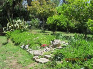 Vue sur le jardin depuis le gîte "LE PLEIN SUD" - LA GUYANNE GIENS