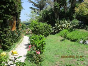 Vue partielle du jardin privatif du gîte "LE PLEIN SUD" - LA GUYANNE GIENS